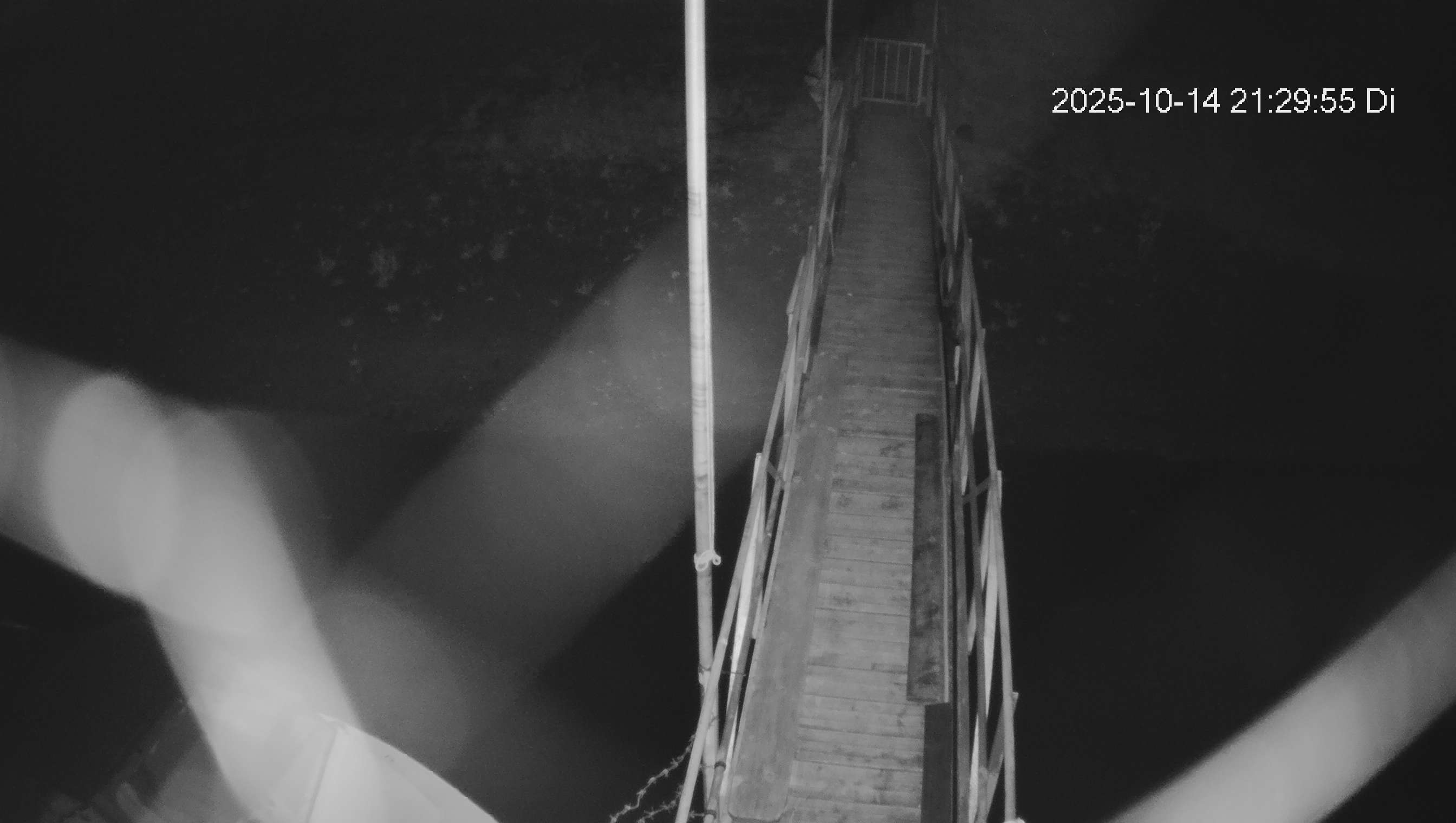 Webcam img missing